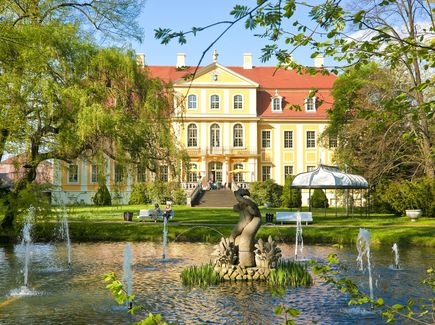 Rammenau Schloss Das gelbe Schloss von Rammenau steht hinter einem Schlossteich in einem Park.