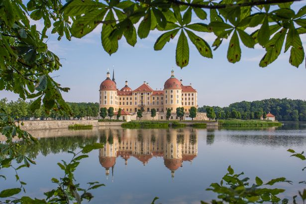 Das Schloss Moritzburg ist umgehen von einem See und spiegelt sich im See. Das Schloss ist im Bild eingerahmt von Blättern. Hinter dem Schloss und hinter dem See befindet sich ein Wald.