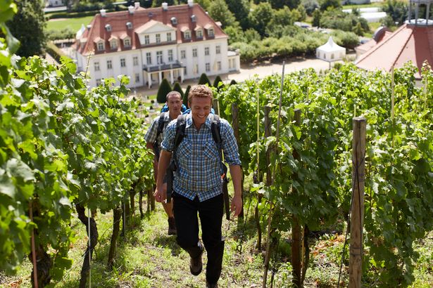 Zwei Männer wandern den Weinberg bei Schloss Wackerbarth durch die Weinreben hoch. Hinter den Männern ist das Schloss Wackerbarth zu sehen.