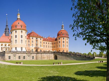 Das Barockschloss Moritzburg ist abgebildet. Vor dem Schloss ist eine Wiese und Bäume.