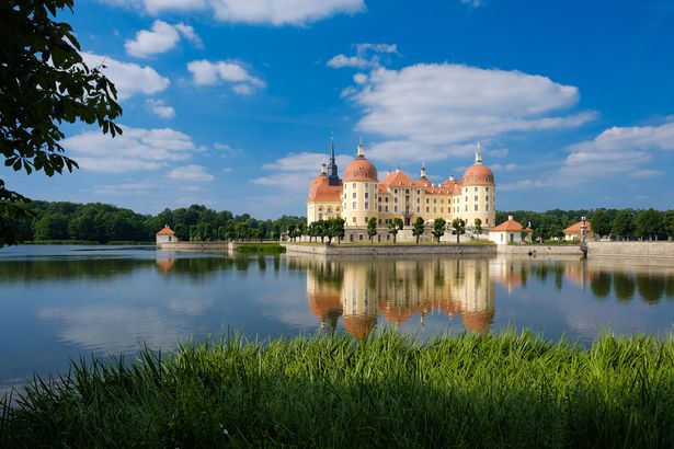 Vor Schloss Moritzburg ist ein See sowie Wiese. Hinter dem Schloss befinden sich weitere Bäume.