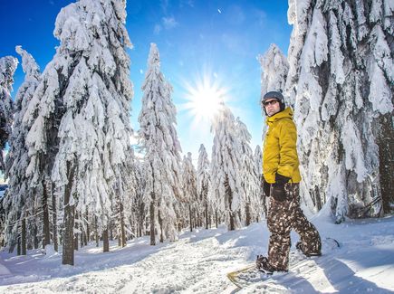 Ein Snowboardfahrer im Winterwald