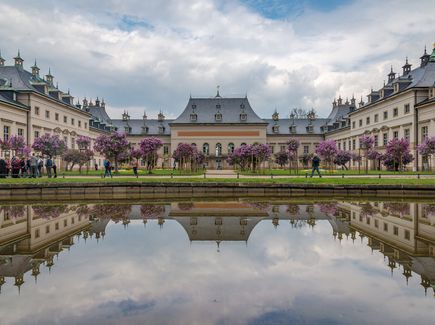 Innenhof von Schloss Pillnitz Der Innenhof eines Schlosses mit zahlreichen Fliederbäumen und einem Teich.